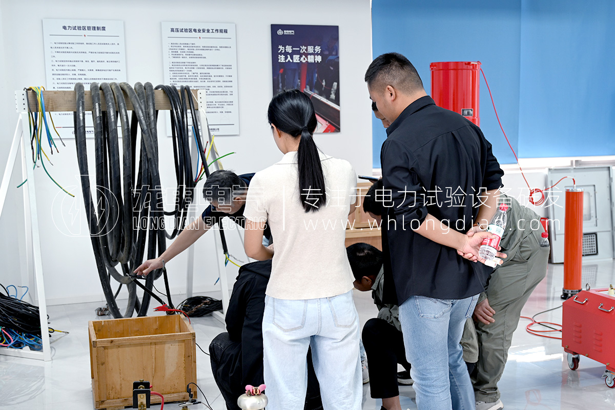 LD-2003電纜故障測(cè)試儀-操作培訓(xùn)